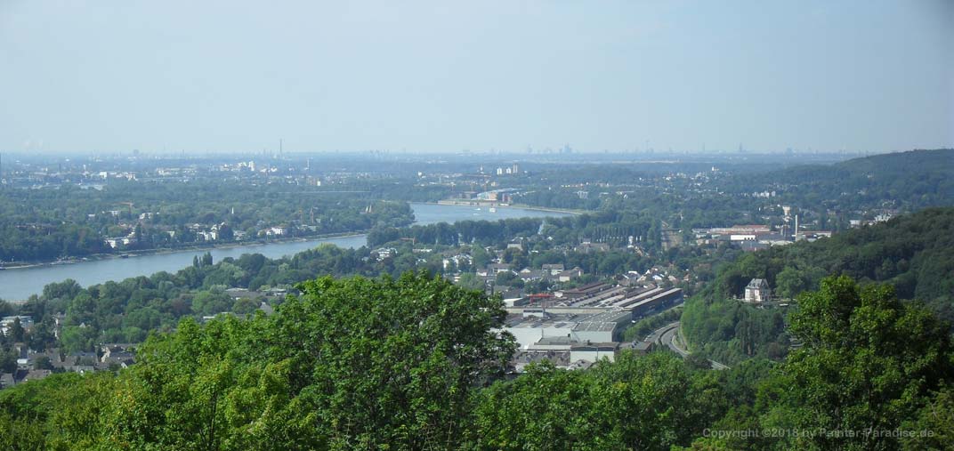 Blick auf Koeln